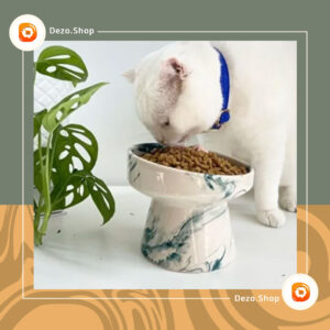 کاسه آب غذای سگ و گربه سرامیکی (سبز-سفید)